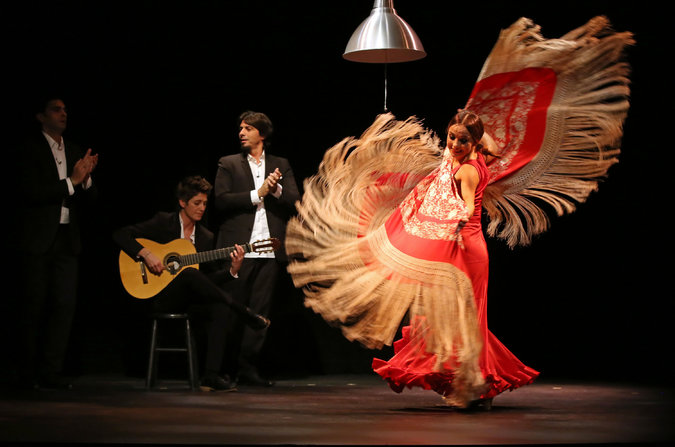 09FLAMENCO-master675